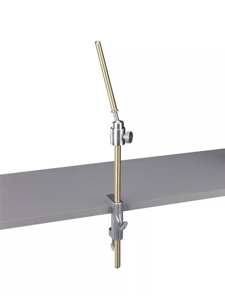 Erler-Zimmer Dentalpuppe