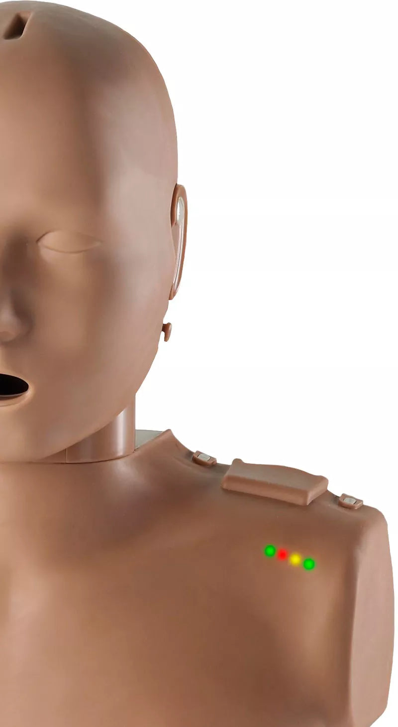 Erler-Zimmer Prestan HLW-Torso mit Leuchtanzeige