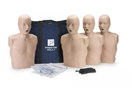 Erler-Zimmer Prestan HLW-Torso mit Leuchtanzeige