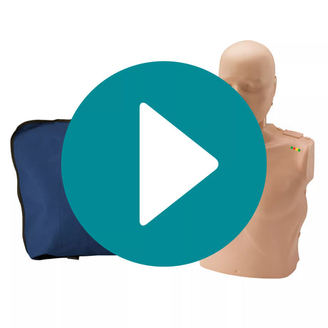 Erler-Zimmer Prestan HLW-Torso mit Leuchtanzeige