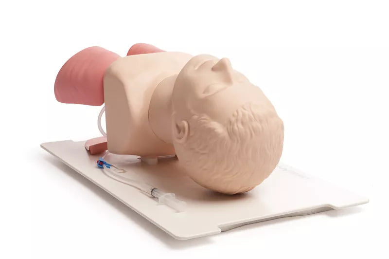 Erler-Zimmer Airway Management Trainer