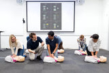 Erler-Zimmer Little Anne QCPR