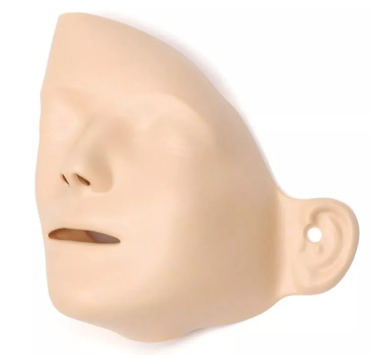 Erler-Zimmer Resusci Anne First Aid Torso