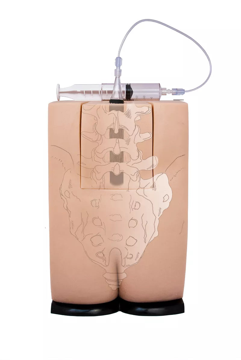 Erler-Zimmer Epidural- und Spinalinjektionssimulator Genesis