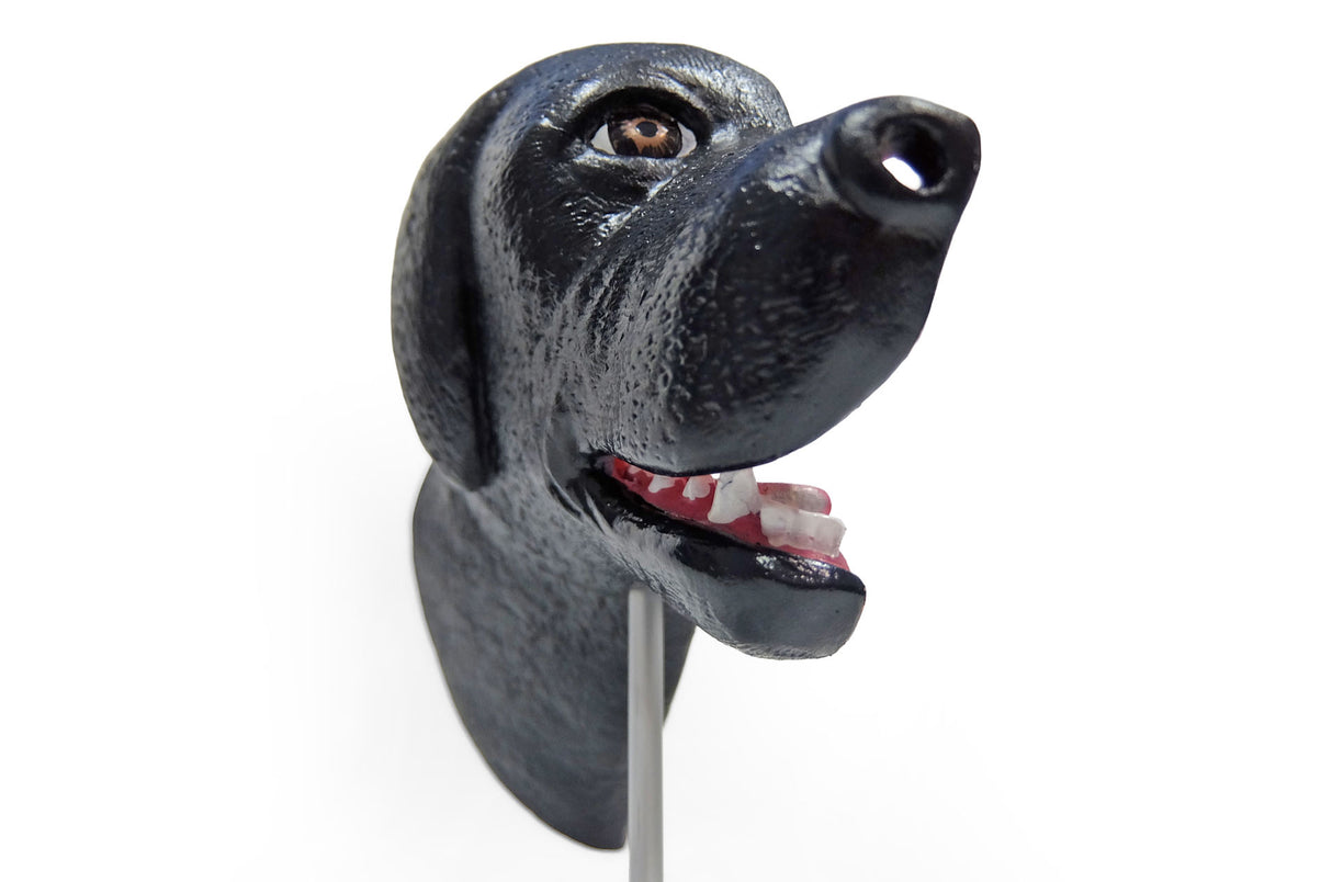 Erler-Zimmer Medianschnitt eines Hundekopfes