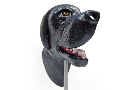 Erler-Zimmer Medianschnitt eines Hundekopfes
