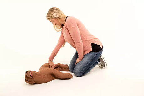Erler-Zimmer HLW Übungshund CasPeR