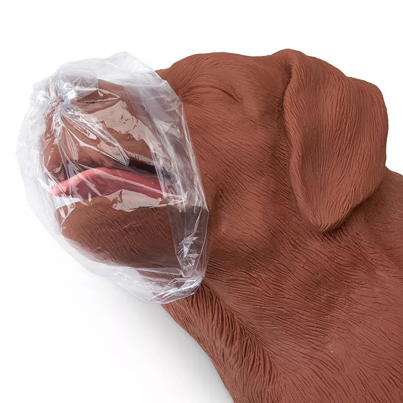 Erler-Zimmer HLW Übungshund CasPeR