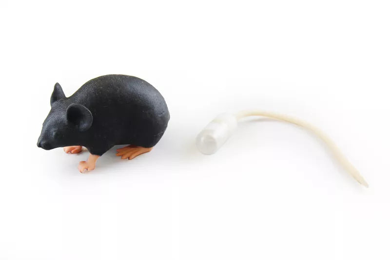 Erler-Zimmer Mimicky Mouse