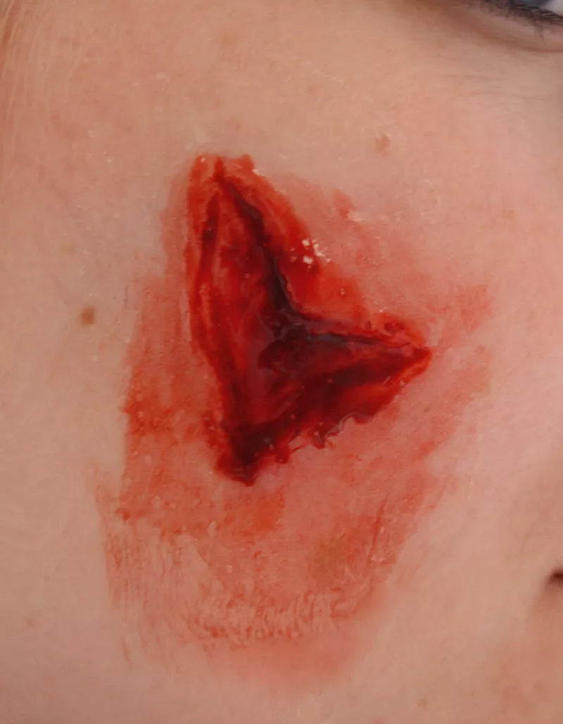 Erler-Zimmer EZ Wounds Wundensimulationsset „Professional“