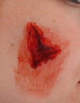 Erler-Zimmer EZ Wounds Wundensimulationsset „Professional“