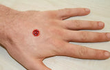 Erler-Zimmer EZ Wounds Wundensimulationsset „Professional“