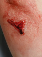 Erler-Zimmer EZ Wounds Wundensimulationsset „Professional“