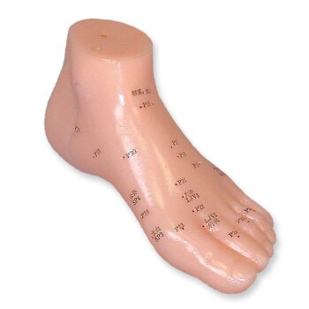 megro Einzelmodell Fuß Akupunktur