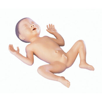 Erler-Zimmer Frühgeborenen Modell 30 Wochen alt