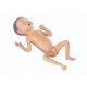 Erler-Zimmer Frühgeborenen Modell 24 Wochen alt