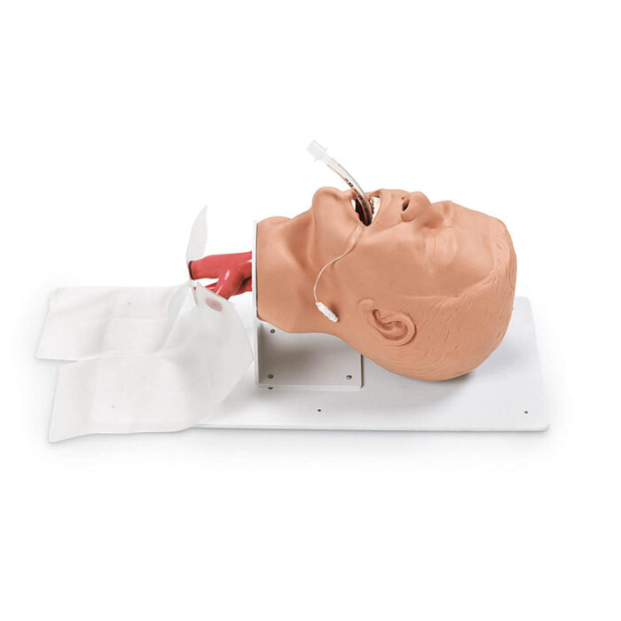 Erler-Zimmer Erwachsenen – Intubationstrainer “Economy” auf Grundplatte