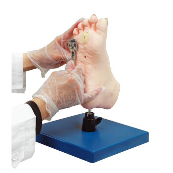 Erler-Zimmer Übungsmodell medizinische Fußpflege