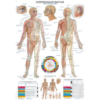 Erler-Zimmer Lehrtafel "Körperakupunktur",...