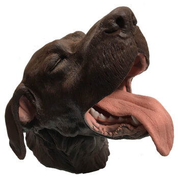 Erler-Zimmer Zahntechnikmodell Hund
